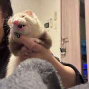 ヒメ日記 2025/06/04 01:45 投稿 神南 BBW錦糸町店