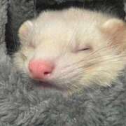 ヒメ日記 2025/06/21 21:16 投稿 神南 BBW錦糸町店