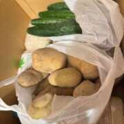 ヒメ日記 2025/06/29 17:30 投稿 神南 BBW錦糸町店