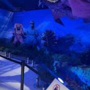 ヒメ日記 2025/08/30 15:45 投稿 神南 BBW錦糸町店