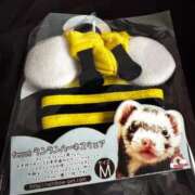 ヒメ日記 2025/09/23 15:01 投稿 神南 BBW錦糸町店