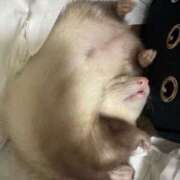 ヒメ日記 2025/10/08 14:03 投稿 神南 BBW錦糸町店