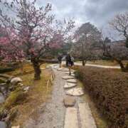 ヒメ日記 2026/03/24 15:55 投稿 神南 BBW錦糸町店