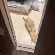 ヒメ日記 2026/08/22 19:03 投稿 神南 BBW錦糸町店