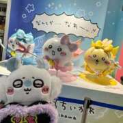 ヒメ日記 2026/10/09 20:53 投稿 神南 BBW錦糸町店