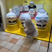ヒメ日記 2026/10/24 19:30 投稿 神南 BBW錦糸町店