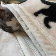 ヒメ日記 2025/02/24 15:01 投稿 りりこ 世界のあんぷり亭 立川店