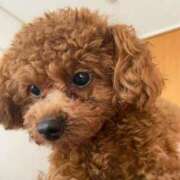 ヒメ日記 2025/10/08 10:14 投稿 みづき 桃李（とうり）