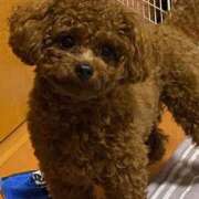 ヒメ日記 2025/10/23 22:54 投稿 みづき 桃李（とうり）