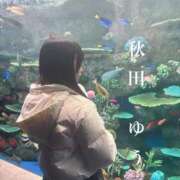 ヒメ日記 2025/12/29 08:52 投稿 秋田　ゆうひ アムアージュ