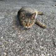 ヒメ日記 2025/08/05 22:19 投稿 えま sweet kiss