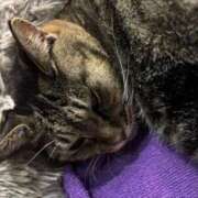 ヒメ日記 2025/11/04 18:47 投稿 えま sweet kiss