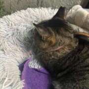 ヒメ日記 2025/11/18 12:39 投稿 えま sweet kiss