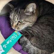 ヒメ日記 2026/04/23 13:29 投稿 えま sweet kiss