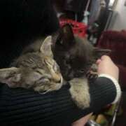 ヒメ日記 2024/12/11 16:16 投稿 きらり 川崎ソープ　クリスタル京都南町