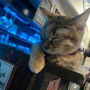 ヒメ日記 2025/05/17 00:00 投稿 きらり 川崎ソープ　クリスタル京都南町