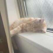 ヒメ日記 2025/09/15 23:17 投稿 きらり 川崎ソープ　クリスタル京都南町