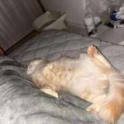 ヒメ日記 2025/11/04 20:27 投稿 きらり 川崎ソープ　クリスタル京都南町