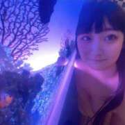 ヒメ日記 2025/02/19 01:21 投稿 くるむ まだ舐めたくて学園渋谷校〜舐めたくてグループ〜