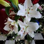 ヒメ日記 2025/01/05 14:25 投稿 ちよこ 完熟ばなな新宿