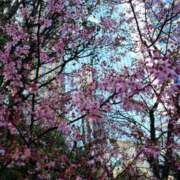 ヒメ日記 2026/03/13 13:05 投稿 ちよこ 完熟ばなな新宿