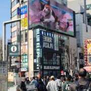 ヒメ日記 2026/03/28 11:55 投稿 ちよこ 完熟ばなな新宿