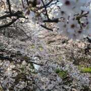 ちよこ こんにちは…ちよこです 完熟ばなな新宿