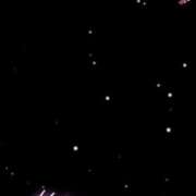 ヒメ日記 2024/12/19 12:20 投稿 さゆり 濃厚即19妻