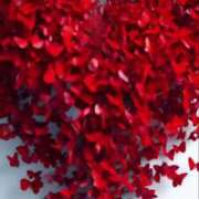 ヒメ日記 2025/03/11 06:47 投稿 さゆり 濃厚即19妻