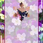 ヒメ日記 2025/03/16 19:04 投稿 さゆり 濃厚即19妻