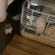 ヒメ日記 2025/04/24 21:22 投稿 さゆり 濃厚即19妻