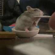 ヒメ日記 2025/04/29 23:45 投稿 さゆり 濃厚即19妻