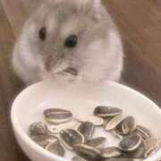 ヒメ日記 2025/05/19 13:54 投稿 さゆり 濃厚即19妻