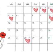 ヒメ日記 2025/04/30 11:34 投稿 英茉/Ema レジーナ