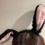 おと 🐰 G-SCANDAL