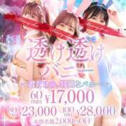 ヤエ【♥ 純粋無垢な天使♥】 やえ出勤しましたよ〜🌸 ドＭなバニーちゃん小倉店