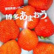 ヒメ日記 2024/04/07 15:40 投稿 五代春海 五十路マダム金沢店