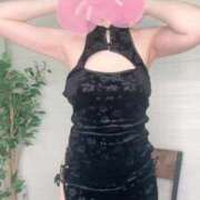 ヒメ日記 2025/07/07 15:41 投稿 猫山みい Mrs. Dandy