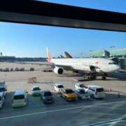 ヒメ日記 2025/08/07 03:18 投稿 猫山みい Mrs. Dandy