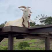 ヒメ日記 2025/06/20 22:04 投稿 小野(ｵﾉ) 小山人妻城