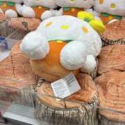 ヒメ日記 2025/08/01 09:50 投稿 小野(ｵﾉ) 小山人妻城