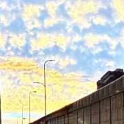 ヒメ日記 2025/09/11 18:28 投稿 小野(ｵﾉ) 小山人妻城