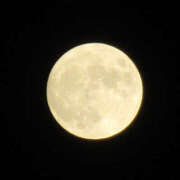 ヒメ日記 2025/10/05 14:24 投稿 小野(ｵﾉ) 小山人妻城