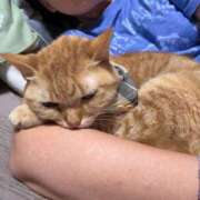 ヒメ日記 2025/10/14 15:39 投稿 小野(ｵﾉ) 小山人妻城