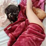 ヒメ日記 2025/10/17 05:34 投稿 小野(ｵﾉ) 小山人妻城