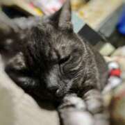 ヒメ日記 2025/10/18 08:08 投稿 小野(ｵﾉ) 小山人妻城