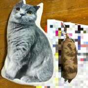 ヒメ日記 2025/11/16 09:45 投稿 小野(ｵﾉ) 小山人妻城