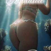 ヒメ日記 2025/12/28 12:59 投稿 小野(ｵﾉ) 小山人妻城