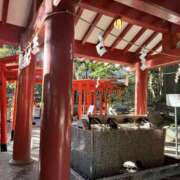 ヒメ日記 2026/01/04 06:31 投稿 小野(ｵﾉ) 小山人妻城