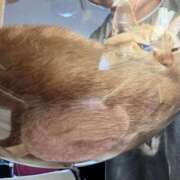 ヒメ日記 2026/01/20 08:17 投稿 小野(ｵﾉ) 小山人妻城